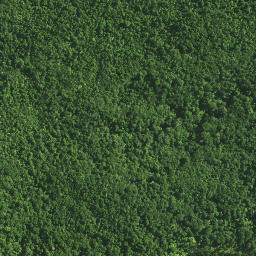 Satellite imagery of TAPUKETARU, NZ