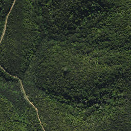 Satellite imagery of X WHAKAREORA, NZ