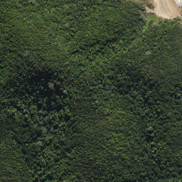 Satellite imagery of X WHAKAREORA, NZ