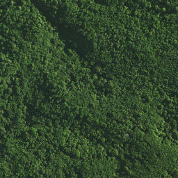 Satellite imagery of TAPUKETARU, NZ