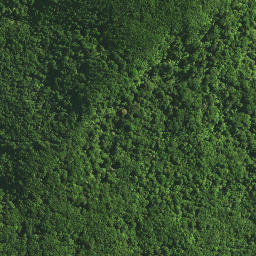 Satellite imagery of TAPUKETARU, NZ
