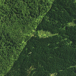 Satellite imagery of TAPUKETARU, NZ