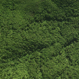 Satellite imagery of 18 TE TARAHIORAHIRI, NZ