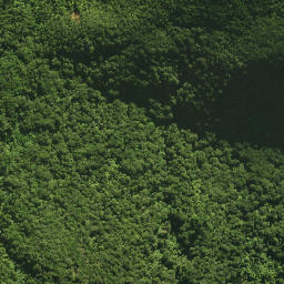 Satellite imagery of 18 TE TARAHIORAHIRI, NZ