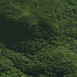 Satellite imagery of 18 TE TARAHIORAHIRI, NZ