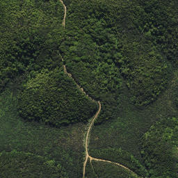 Satellite imagery of X WHAKAREORA, NZ