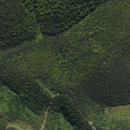 Satellite imagery of X WHAKAREORA, NZ