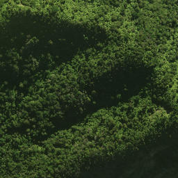 Satellite imagery of 18 TE TARAHIORAHIRI, NZ