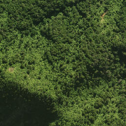 Satellite imagery of 18 TE TARAHIORAHIRI, NZ