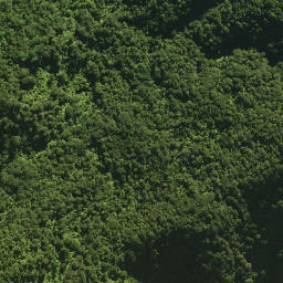 Satellite imagery of 18 TE TARAHIORAHIRI, NZ