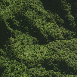 Satellite imagery of 18 TE TARAHIORAHIRI, NZ