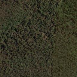 Satellite imagery of Mount Cowangerong, AU