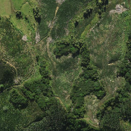 Satellite imagery of XIV (Whangarei SD), NZ