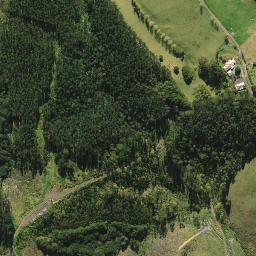 Satellite imagery of XIV (Whangarei SD), NZ