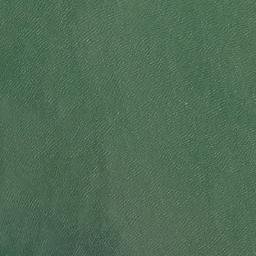 Satellite imagery of Nine Mile Point, AU