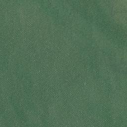 Satellite imagery of Nine Mile Point, AU