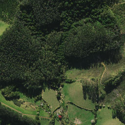 Satellite imagery of XIV (Whangarei SD), NZ
