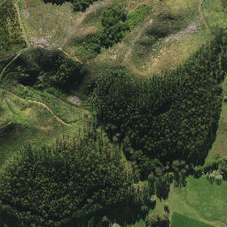 Satellite imagery of XIV (Whangarei SD), NZ