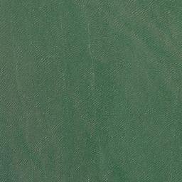 Satellite imagery of Nine Mile Point, AU