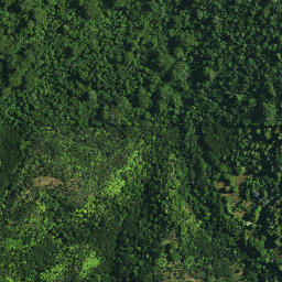 Satellite imagery of RM J SO 51615, NZ