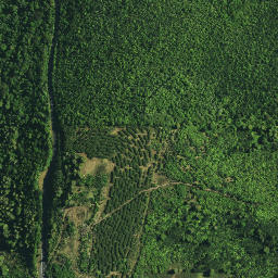 Satellite imagery of RM J SO 51615, NZ
