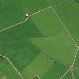 Satellite imagery of P NO 2, NZ