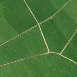 Satellite imagery of P NO 2, NZ