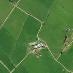 Satellite imagery of P NO 2, NZ