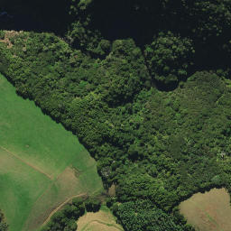 Satellite imagery of 1491, NZ