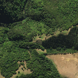 Satellite imagery of 1491, NZ
