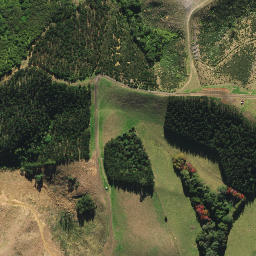 Satellite imagery of 1491, NZ