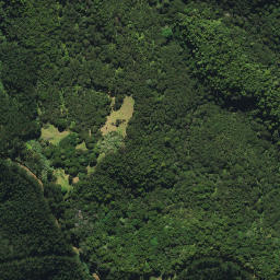 Satellite imagery of 2032, NZ