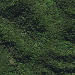 Satellite imagery of 2032, NZ