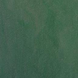Satellite imagery of Nine Mile Point, AU