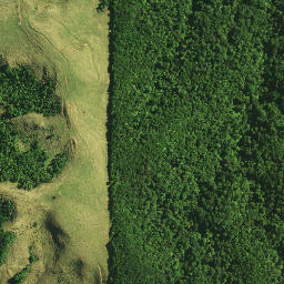 Satellite imagery of 988 NO 2, NZ