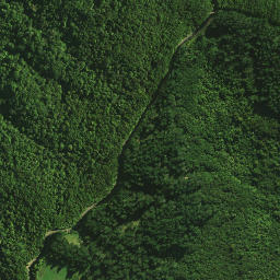 Satellite imagery of 988 NO 2, NZ