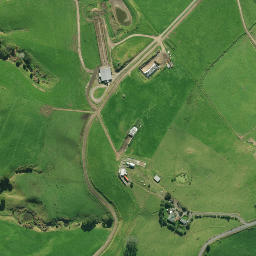 Satellite imagery of P NO 2, NZ