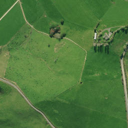 Satellite imagery of P NO 2, NZ