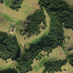 Satellite imagery of 1491, NZ
