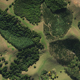 Satellite imagery of 1491, NZ