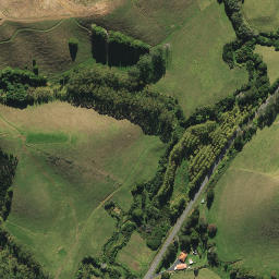 Satellite imagery of 1491, NZ