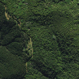 Satellite imagery of 2032, NZ
