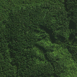 Satellite imagery of 988 NO 2, NZ