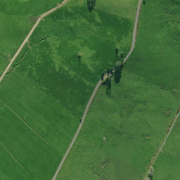 Satellite imagery of P NO 2, NZ
