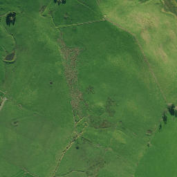 Satellite imagery of P NO 2, NZ