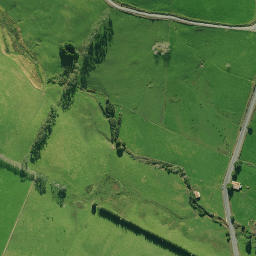 Satellite imagery of P NO 2, NZ