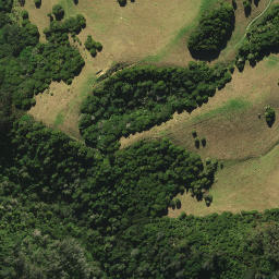 Satellite imagery of 2051, NZ