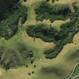 Satellite imagery of 1491, NZ