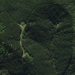 Satellite imagery of 2032, NZ