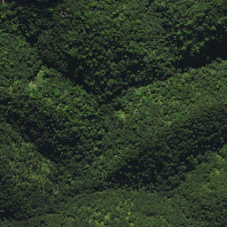 Satellite imagery of 2032, NZ
